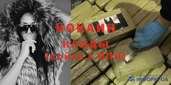 гашик Касимов