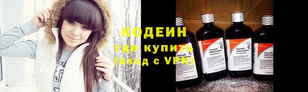 гашик Касимов