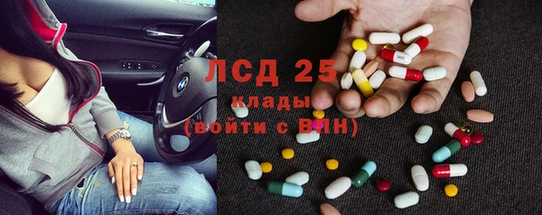 гашик Касимов