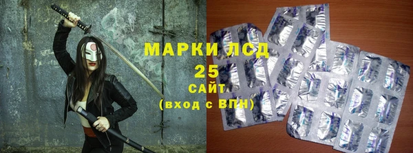 гашик Касимов