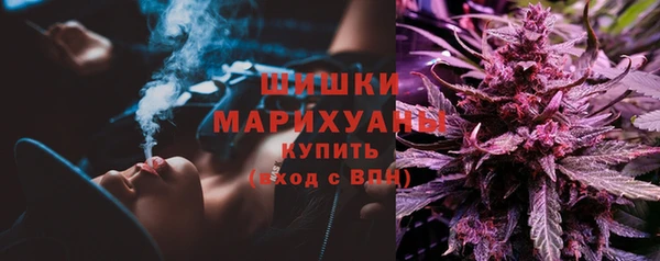 прущий лед Карпинск